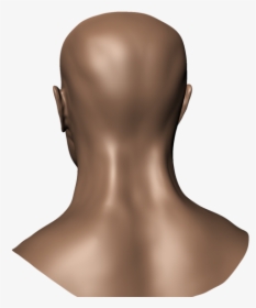 Thumb Image - Human Head Back Side, HD Png Download, Free Download