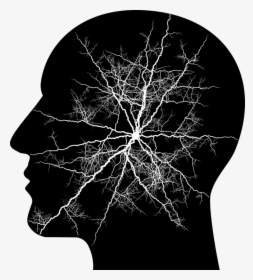 Psychology Brain Pics Black And White, HD Png Download, Free Download