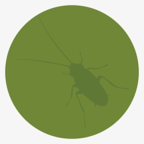 Net-winged Insects , Png Download - Ville De Saint Etienne, Transparent Png, Free Download