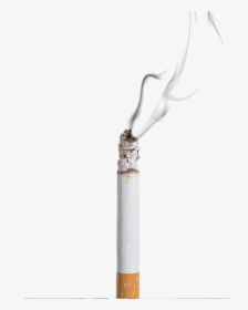 Burning Cigarette White Background, HD Png Download, Free Download