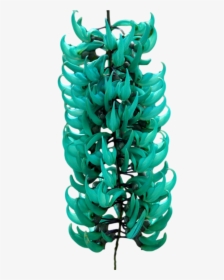 “ Strongylodon Macrobotrys, Commonly Known As Jade - Jade Vine Plant, HD Png Download, Free Download