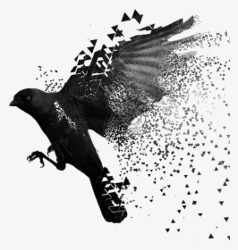 Flying Raven, HD Png Download, Free Download