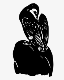 Flightless Bird,art,silhouette - Illustration, HD Png Download, Free Download