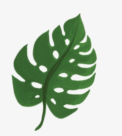 Animal Safari Leaf - Safari Leaves Clipart Png, Transparent Png, Free Download