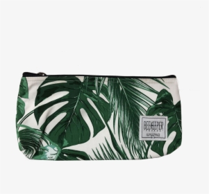 Monstera - Plant, HD Png Download, Free Download
