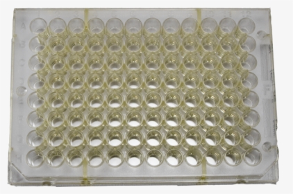 Delfia Assay Plate, 96-well, Yellow - Plastic, HD Png Download, Free Download