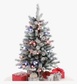 Flocked Tree With Colored Lights, HD Png Download, Free Download