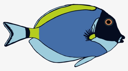 Blue Tang Fish Clipart Outline Clip Freeuse Download - Powder Blue Tang, HD Png Download, Free Download