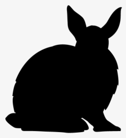 Beer Rabbit Animal Clipart うさぎ お 酒 イラスト Hd Png Download Kindpng