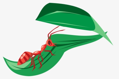 Ant On A Leaf Clipart, HD Png Download, Free Download