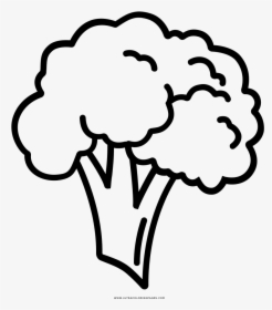 Broccoli Coloring Page - Easy To Draw Broccoli, HD Png Download, Free Download