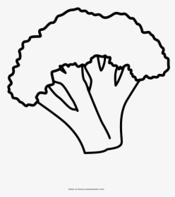 Broccoli Coloring Page - Line Art, HD Png Download, Free Download