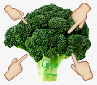 #brocoli #bullying - Broccoli, HD Png Download, Free Download