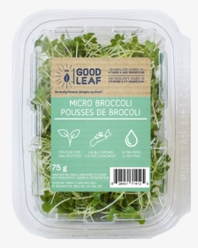 Micro Broccoli - Broccoli, HD Png Download, Free Download