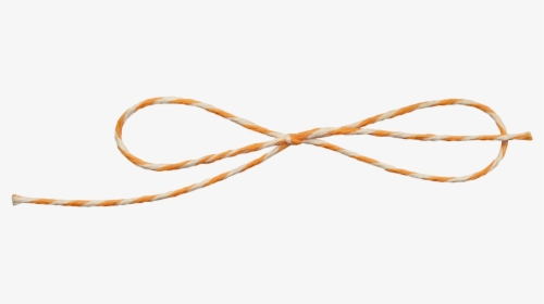 May - Networking Cables, HD Png Download, Free Download