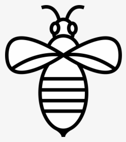 Bee, HD Png Download, Free Download