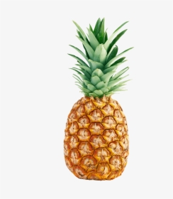 Pineapple"  Class= - Piña Clipart, HD Png Download, Free Download