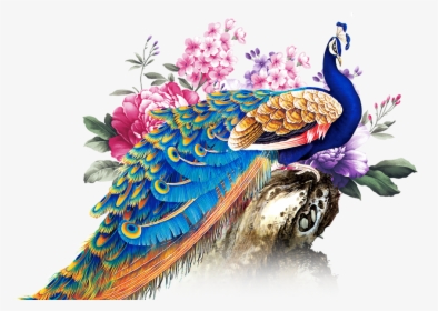 Transparent Background Peacock Png, Png Download, Free Download