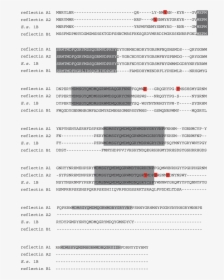 Screenshot, HD Png Download, Free Download