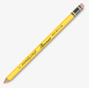 Free Illustration Pencil, HD Png Download, Free Download