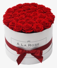 Orb Grand Red Roses"  Class="lazyload Lazyload Fade - Red Roses, HD Png Download, Free Download