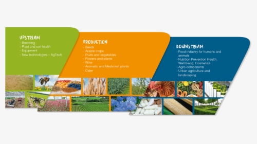 Vegepolys Valley Frise Uk - Brochure, HD Png Download, Free Download