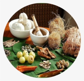 Ayurveda Wellness - Ayurvedic Medicine For Asthma, HD Png Download, Free Download