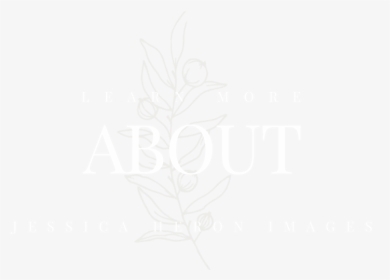 About Tab - Sketch, HD Png Download, Free Download