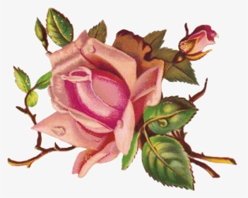 #rosas #roses #draw #dibujo #drawing #png #tumblr #aesthetics - Border Paper Scroll Design, Transparent Png, Free Download