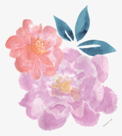 Watercolor Painting , Png Download - Woods' Rose, Transparent Png, Free Download