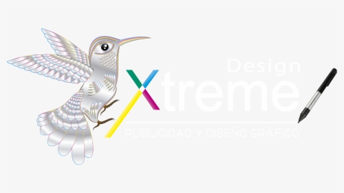 Design Xtreme - Hummingbird, HD Png Download, Free Download