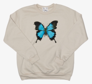 Butterfly, HD Png Download, Free Download