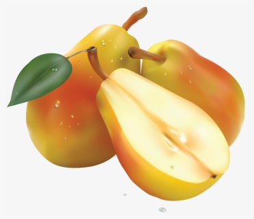 Pear Png File, Transparent Png, Free Download