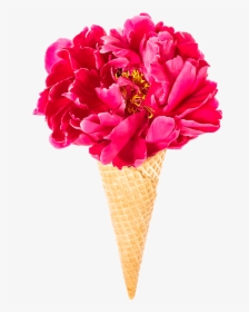 Ice Cream, HD Png Download, Free Download
