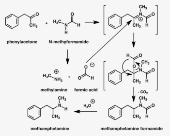 Methylamine And Methanoic Acid, HD Png Download, Free Download