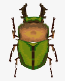Download Zip Archive - Rainbow Stag Beetle Transparent, HD Png Download, Free Download