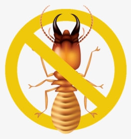 Termite Vector, HD Png Download, Free Download