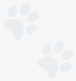 Circle, HD Png Download, Free Download