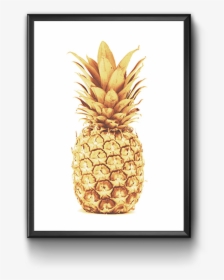 Hd Pineapple Quote, HD Png Download, Free Download