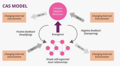 Complex Adaptive Systems, HD Png Download, Free Download