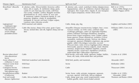 Screenshot, HD Png Download, Free Download