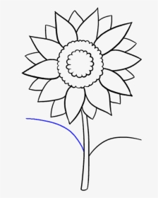 How To Draw Sunflower - Easy Drawing Of Sunflower, HD Png Download, Free Download
