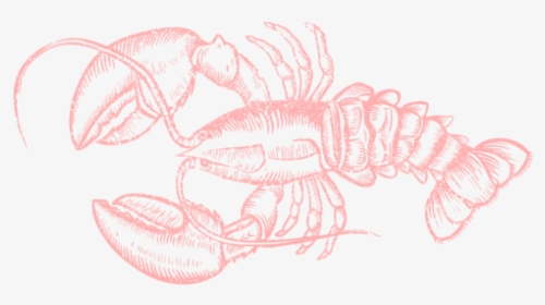 Lobster Social Logo-01 - Sketch, HD Png Download, Free Download