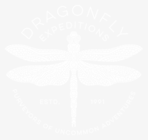 Dragonfly Expeditions - Illustration, HD Png Download, Free Download