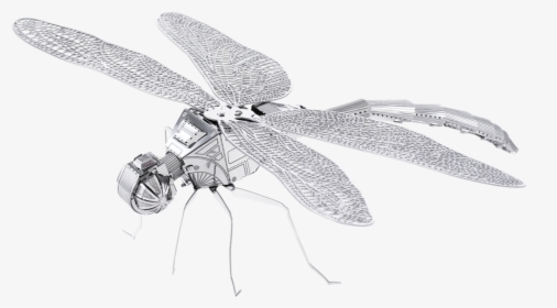 Metal Earth Bugs - Metal Earth Dragonfly, HD Png Download, Free Download