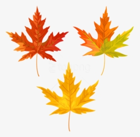 Free Png Download Orange Fall Leaves Clipart Png Photo - Transparent Background Fall Leaf Clipart, Png Download, Free Download