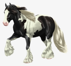 Draft Gypsy Vanner Horses, HD Png Download, Free Download