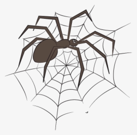 Spider Web, HD Png Download, Free Download