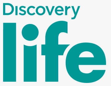 M I H S I G N 	• V I S I O N - Discovery Life Logo Png, Transparent Png, Free Download