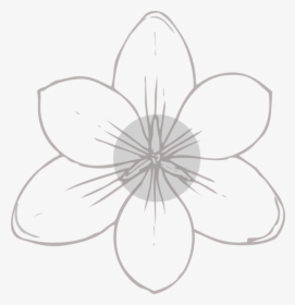 Silver, Flowers Svg Clip Arts - Flower Image Drawing Hd, HD Png Download, Free Download